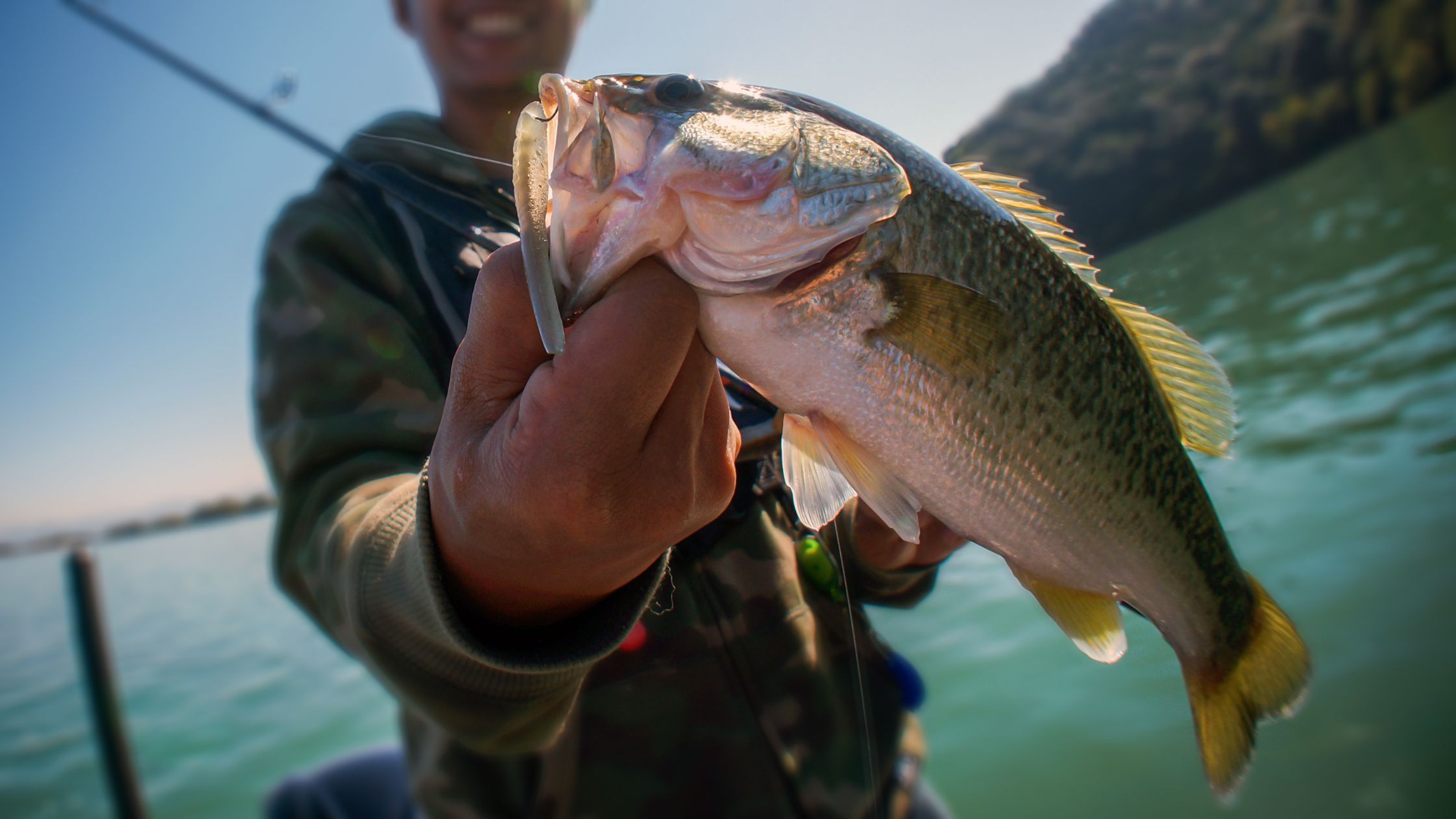 Man catching a fish