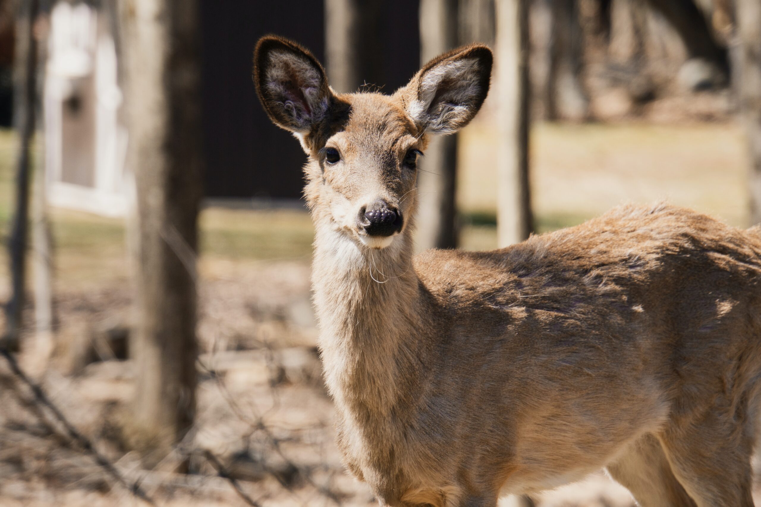 best time to visit Lake Wallenpaupack