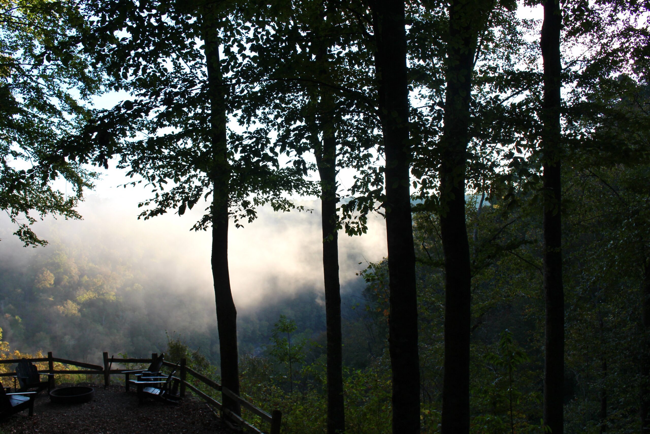 best time to visit Norris Lake