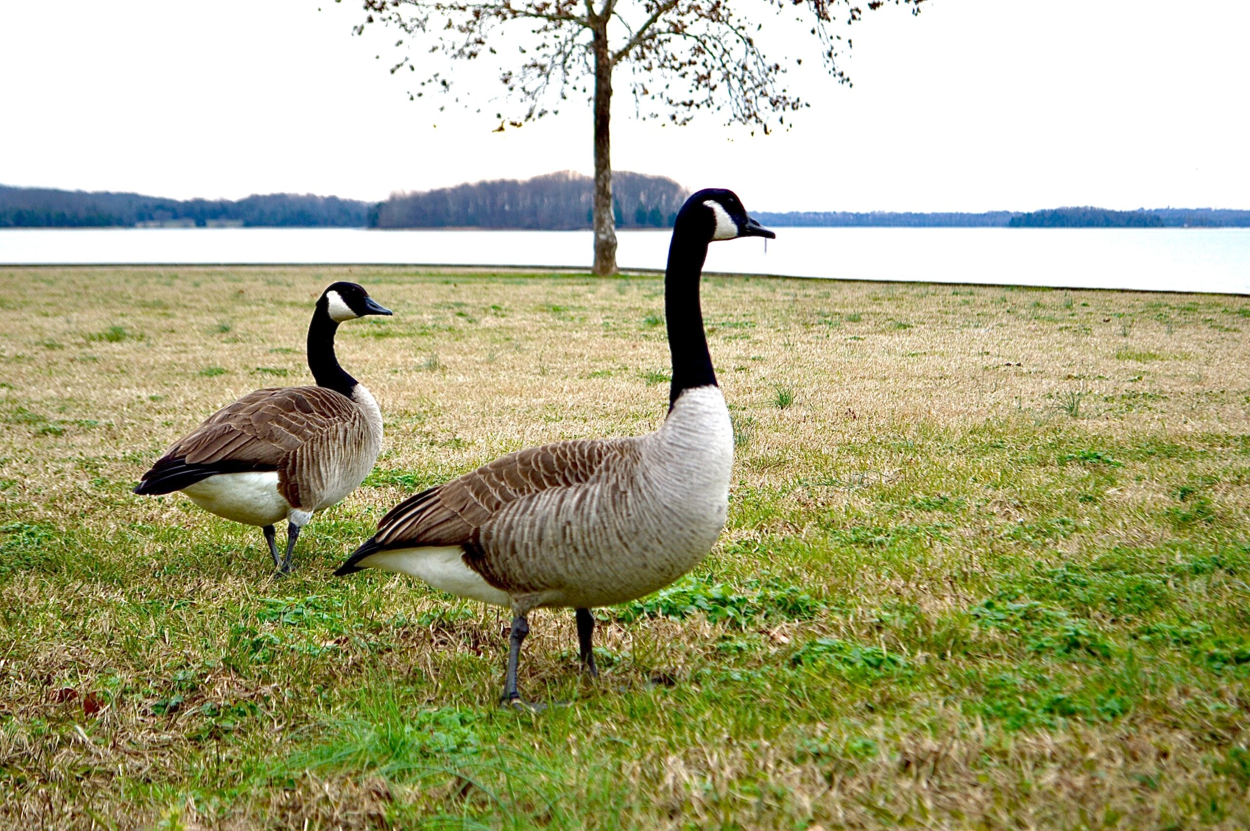 best time to visit Percy Priest Lake