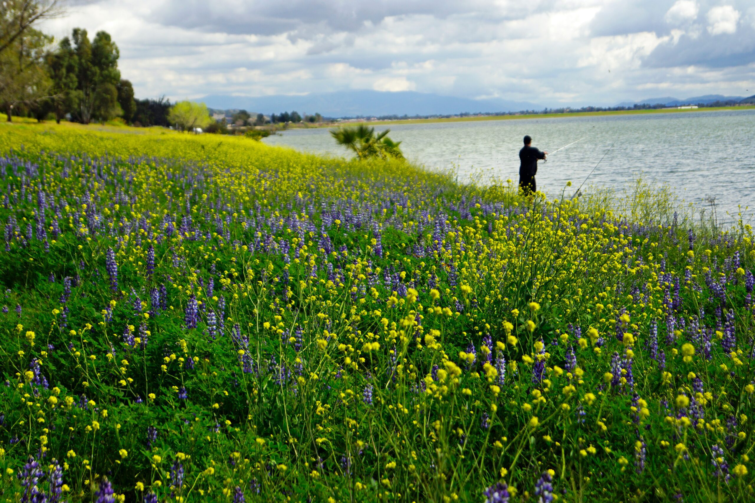 things to do in Lake Elsinore