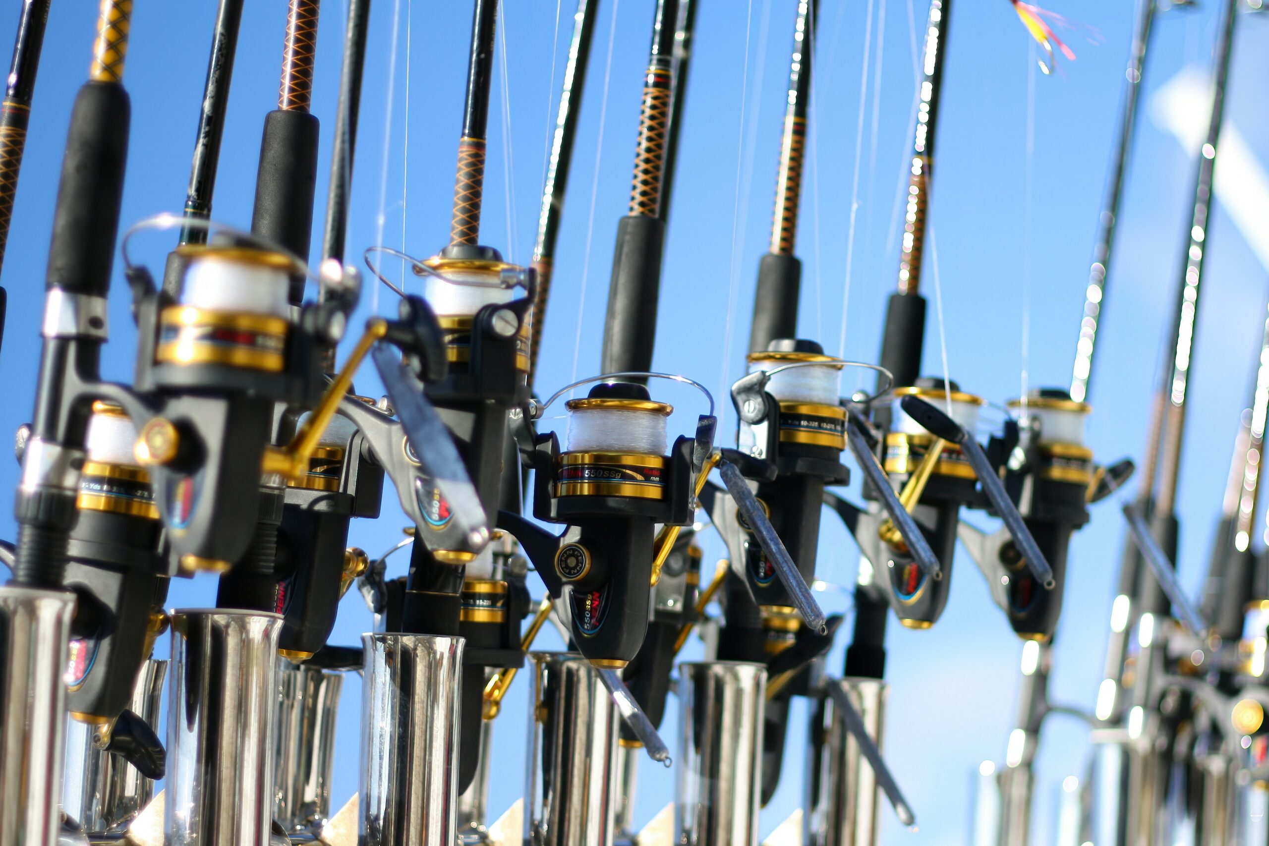 fishing boat rentals