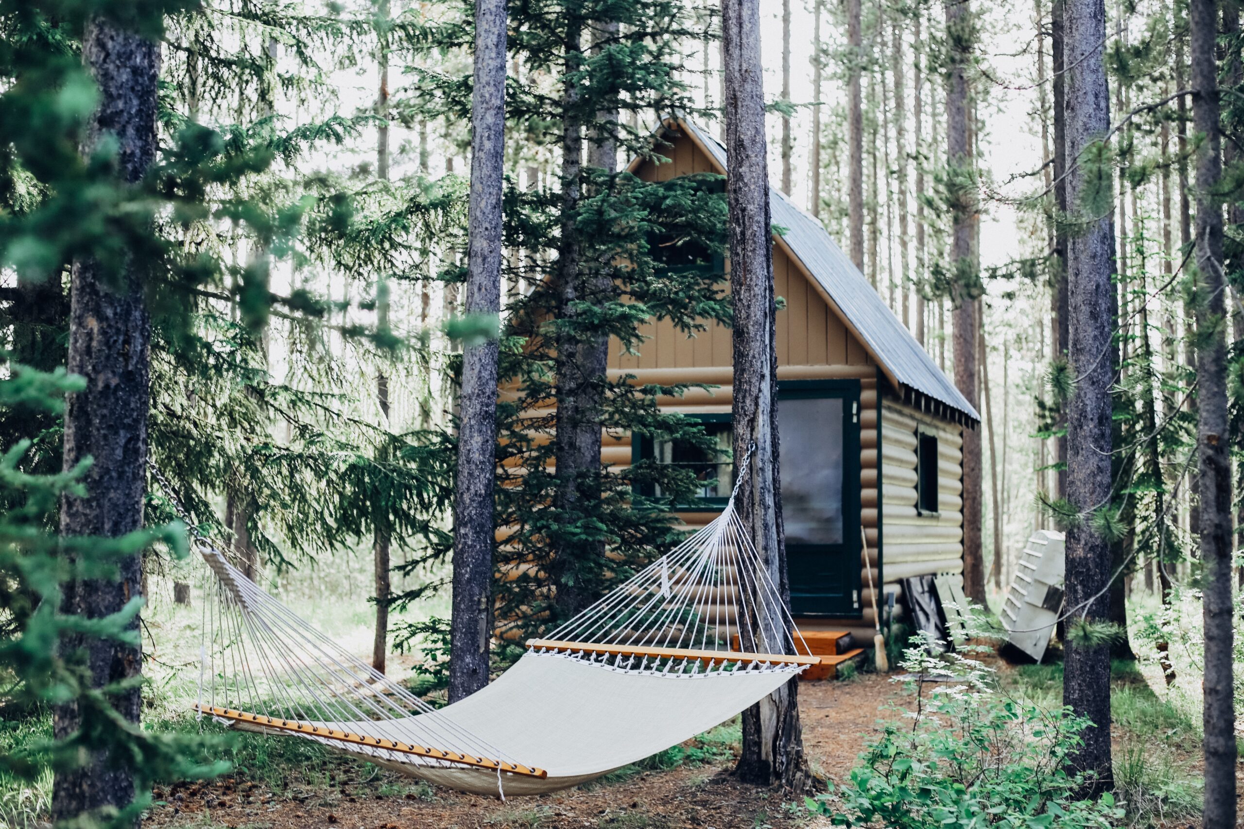 a cosy wooden cabin in the forest with a cream hammock set in front between two trees