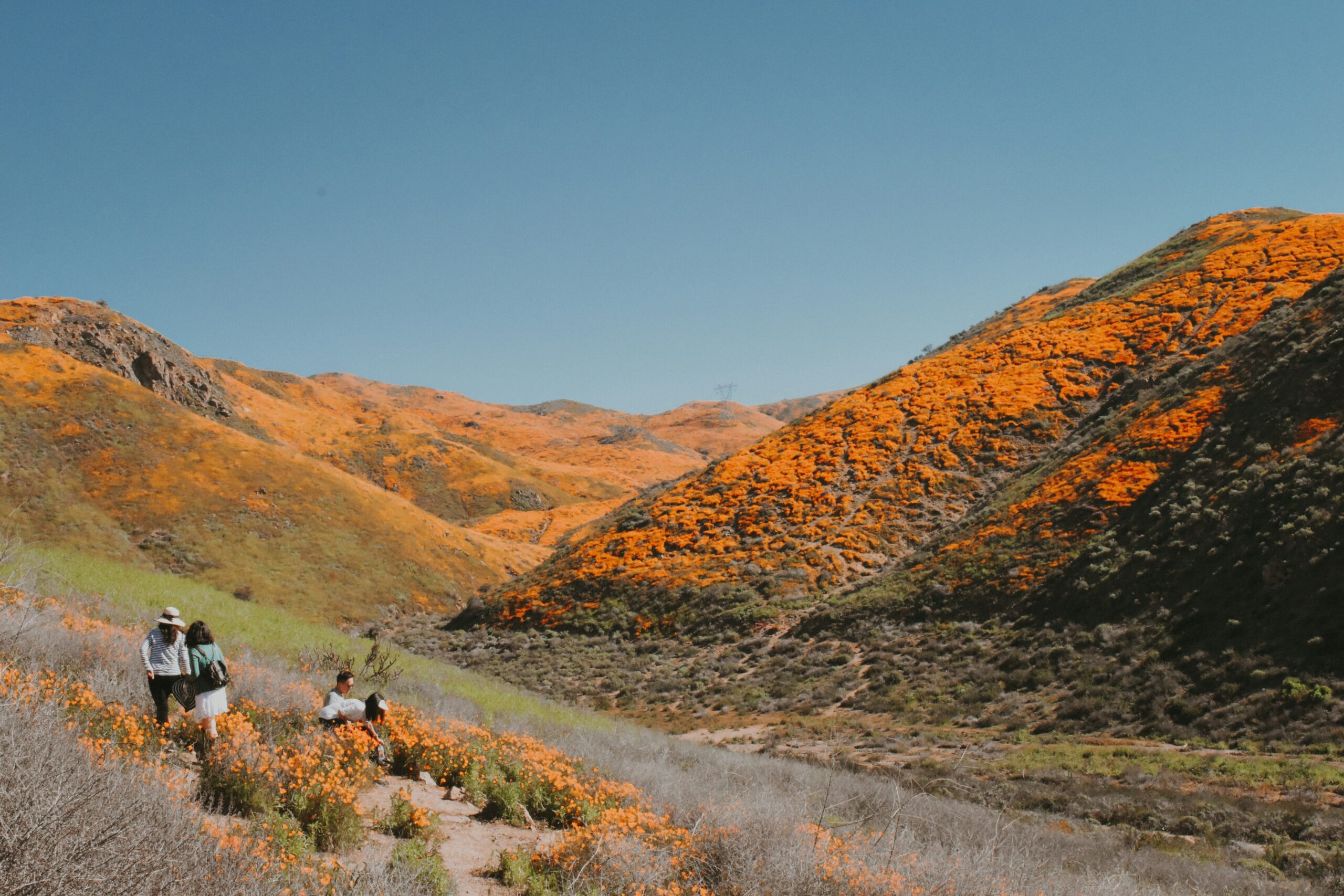 best time to visit lake elsinore