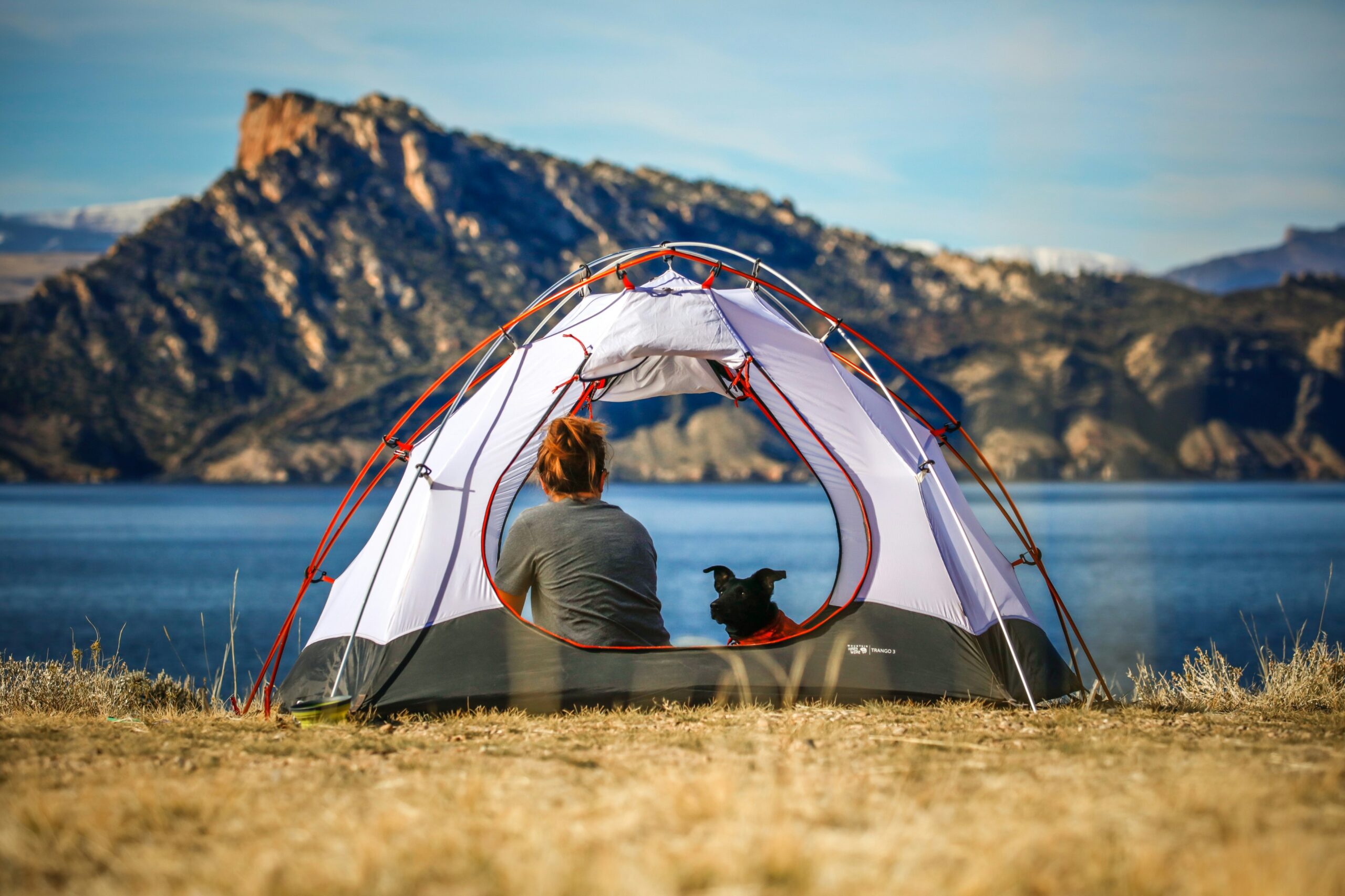 Dog Fence for Camping