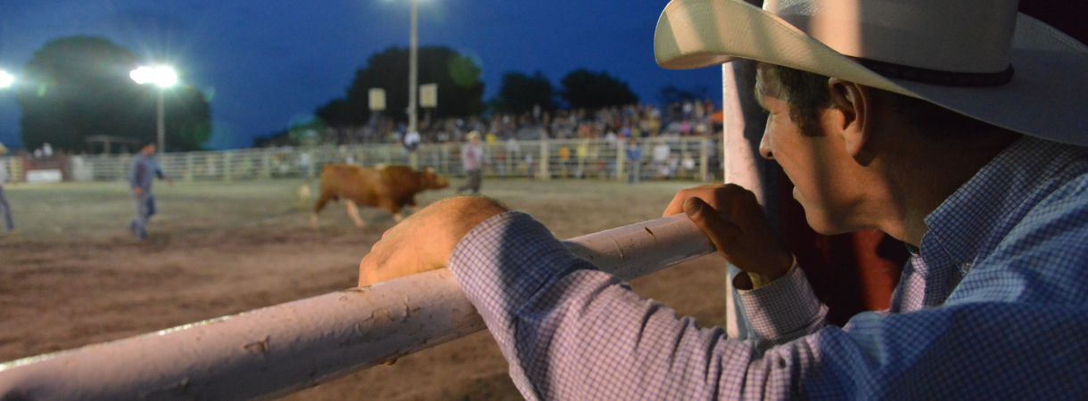 Cowboy watching a rodeo over a gate