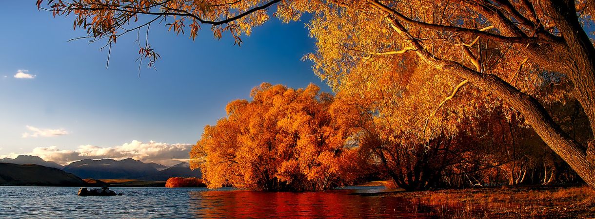 Michigan colors in the fall by the lake.